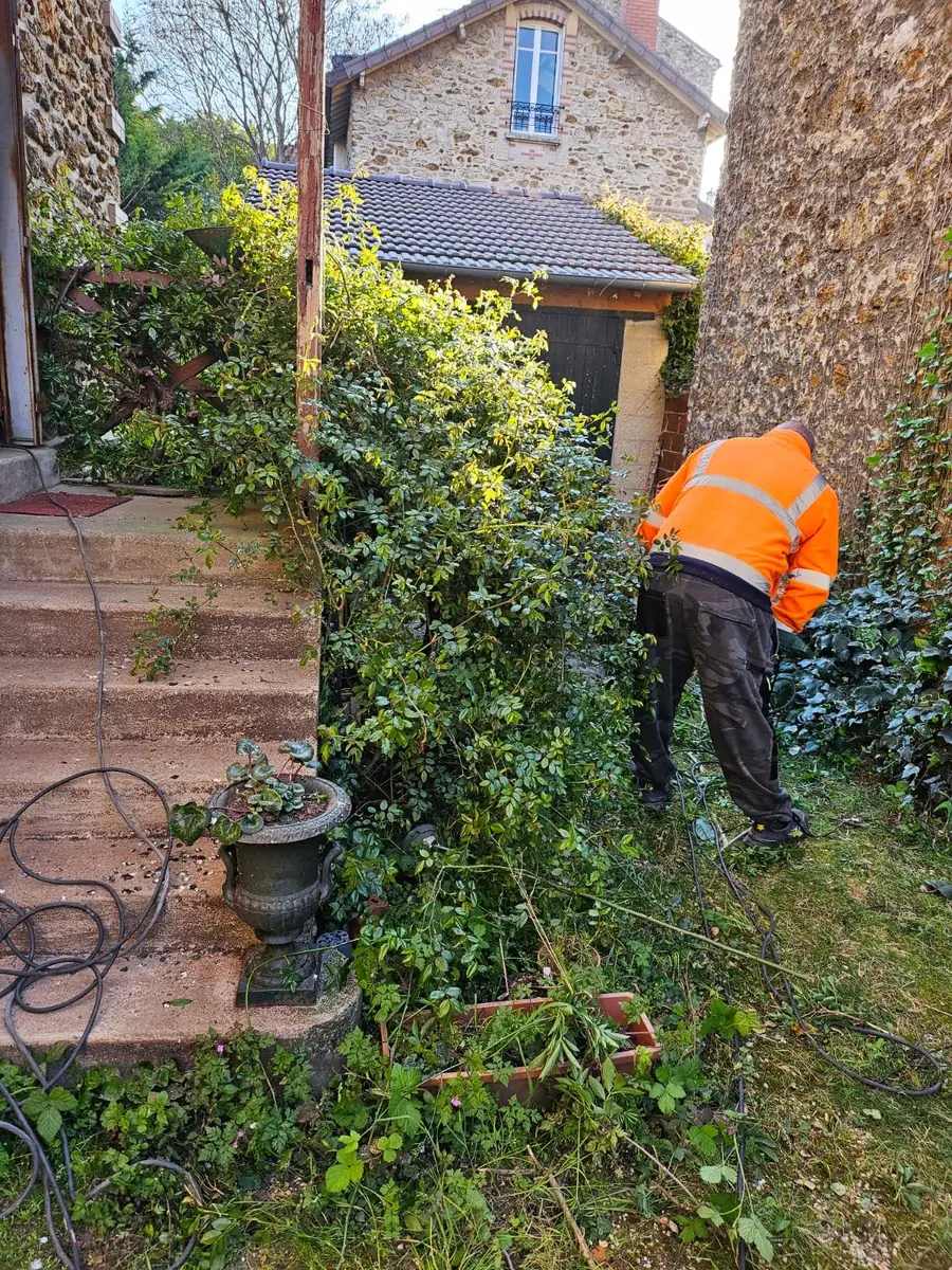 Débroussaillage d’un jardin envahi avant évacuation des déchets verts