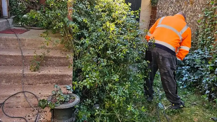 Débroussaillage d’un jardin envahi avant évacuation des déchets verts