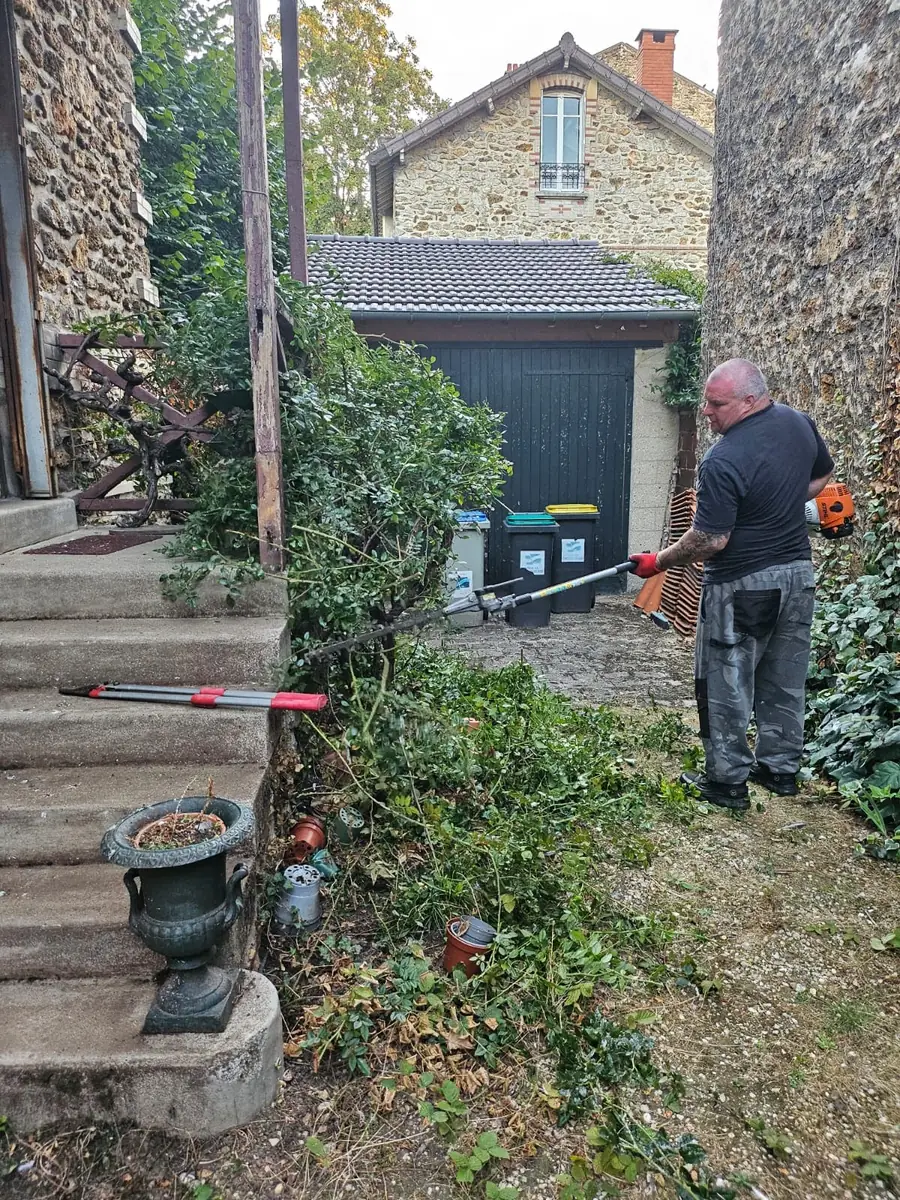 Dégagement d’un accès de maison envahi par la végétation
